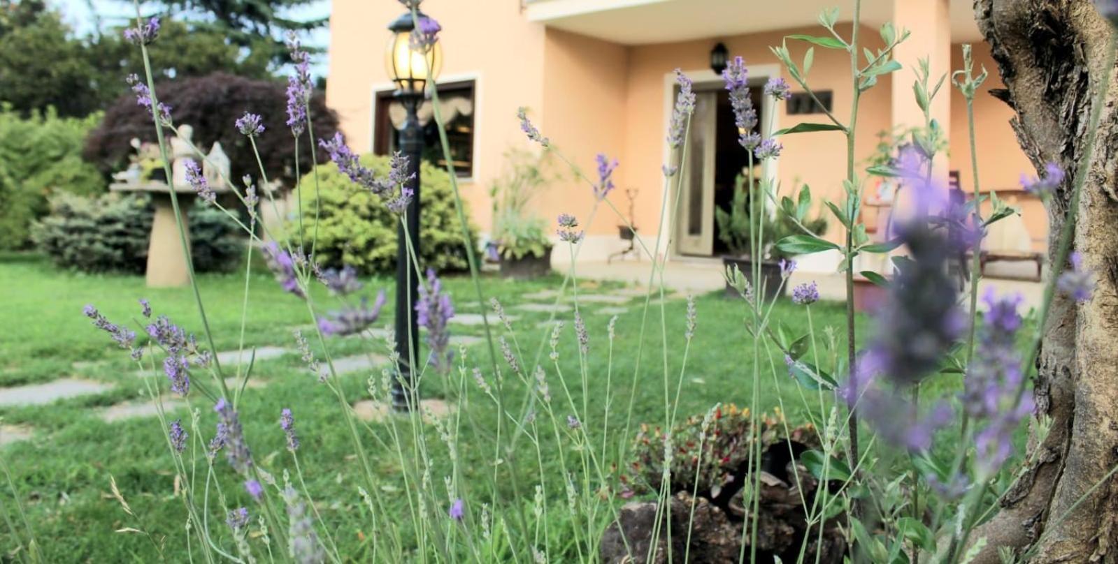 Un Sorriso Sul Viso Villa Martiniana Po Екстериор снимка